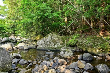 新緑に包まれたるり渓の情景＠京都
