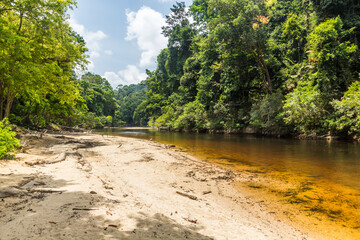 Fototapeta na wymiar Tahan river in Taman Negara national park, Malaysia.