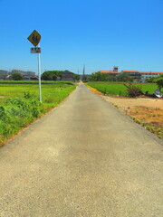 郊外の初夏の農道と通学路風景