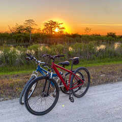 Fototapeta premium bicycle on the beach