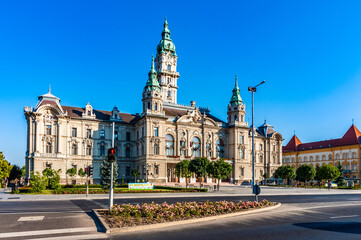 Naklejka premium It's Town Hall of Gyor, Hungary