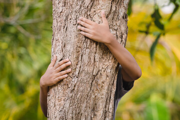 Environmentalist tree hugger is hugging wood trunk in forest, female arms hugging the tree
