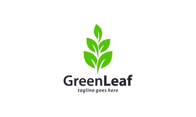 Creative and modern green leaf for natural and environment logo design vector editable