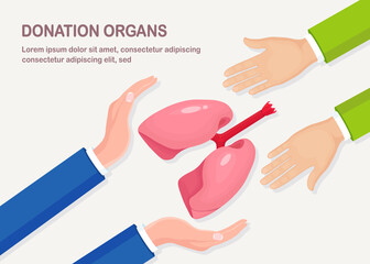 Donation organs. Doctors hands hold donor lungs for transplantation. Respiratory infection, pneumonia, tuberculosis, cancer concept. Volunteer aid for the patient. Vector cartoon design
