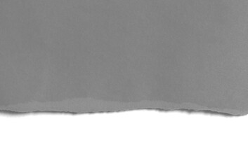Fototapeta na wymiar ripped paper isolated on white background