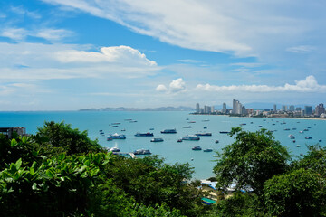 
In the city, look at the hock angle.
Saw the condo and the beach A beautiful view