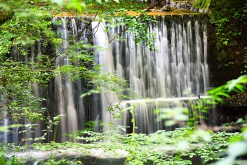 貴船川の青紅葉と落水の流れです