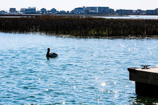 Murrells Inlet V