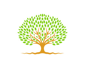 Naklejka premium nature leaf tree