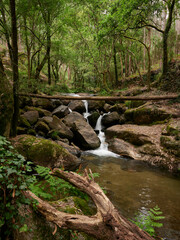 River Le&ccedil;a Waterfalls in Monte Cordova, Portugal. The river water runs down the big rocks of the mountain, under the green canopy of the trees in the spring