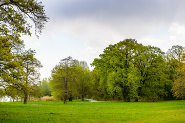 It's Forest near the Cecilienhof Palace, a palace in Potsdam, Brandenburg, Germany.