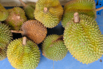 Durian king of fruit