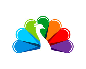 Luxurious peacock with golden colors