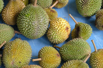Durian king of fruit