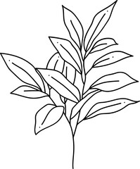 modern minimalist line art leaves