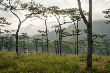 Fototapeta premium Trees in the morning fog with tourists enjoying the view at Phu Soi Dao National Park, Thailand in horizontal.