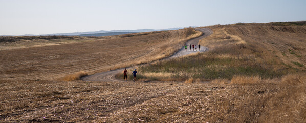 Trail running in southern Israel during the summer