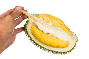 Durian king of fruit