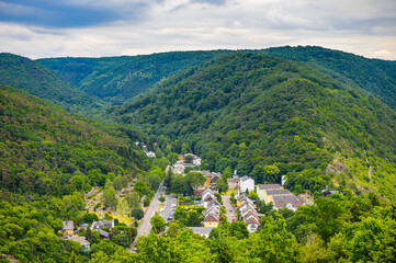 It's Nature near the river Rhine in Germany