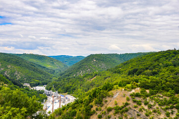 It's Nature near the river Rhine in Germany