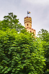 It's Marksburg castle. It is one of the principal sites of the UNESCO World Heritage Rhine Gorge