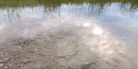 grass and water