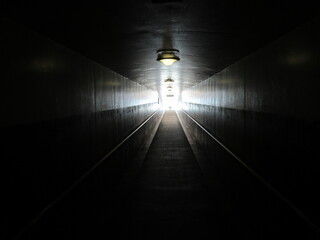 カリフォルニア