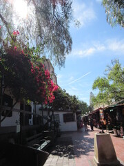 カリフォルニア