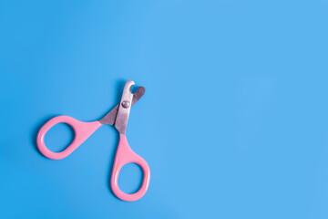 cat claws scissors on a blue background, copy space