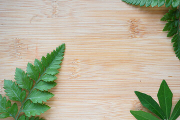 fresh leaves fern frame on wooden board background. Copy space leaves background for text. summer...