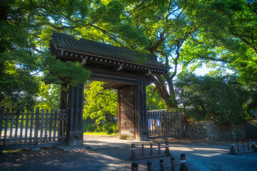 京都御苑の下立売御門と新緑の風景です