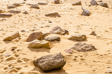 It's Ruins of the Temple of Alexander the Great, Egypt