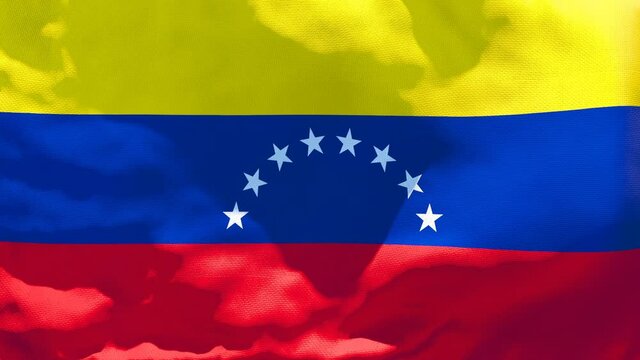 The national flag of Venezuela flutters in the wind