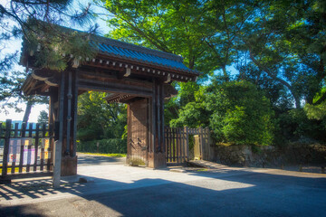 京都御苑の蛤御門と新緑の風景です