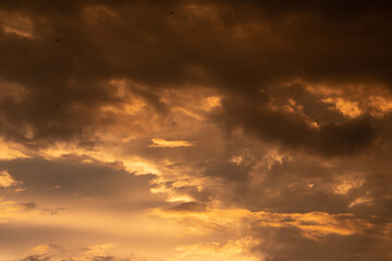 Obraz premium Evening orange cloudy sky, sunset on a cloudy gloomy day