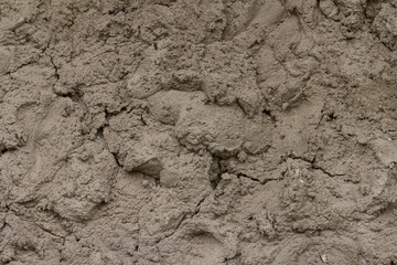  A rough concrete wall covered with cement