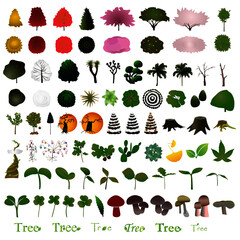 80 tree icon; trees, flowers, Christmas trees, family trees