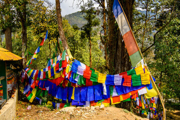 Colorful flags in Enchey Monastery, above Gangtok, the capital city of Sikkim Indian state