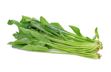 Bunch of spinach leaves on isolated white background
