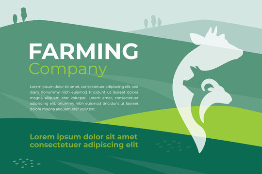 Design template for farming company, agriculture, livestock business. Banner with agricultural field and farm animals icon. Logo with cow, pig and ram. Vector illustration with text for advert, flyer.