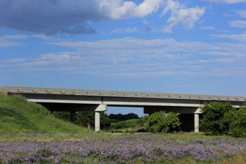 Obraz premium Highway bridge over a road with green grass,blue sky, and an Alfalfa field.