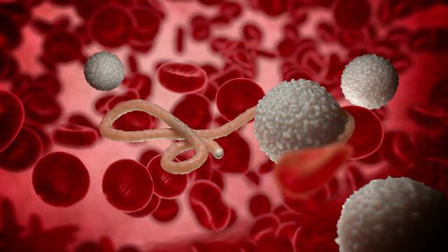 yukuyky 8i 78i yuiuyi uyi