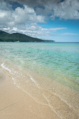 Fototapeta na wymiar tropical beach with turquoise water