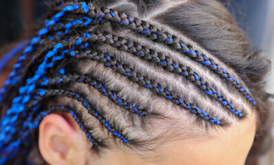 African pigtails on the girl’s head.