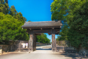 京都御苑の清和院御門と新緑の風景です