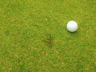 ゴルフではボールの落下痕は必ず修復するのがマナー