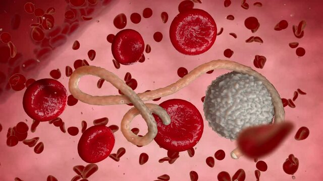 yukuyky 8i 78i yuiuyi uyi