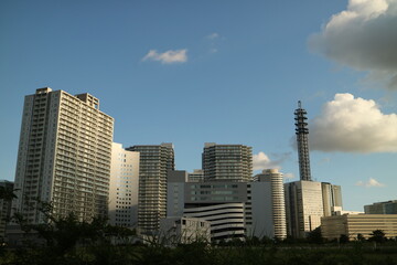 Fototapeta na wymiar 横浜みなとみらい地区の高層ビル群