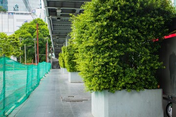 Walkway in Thailand ,