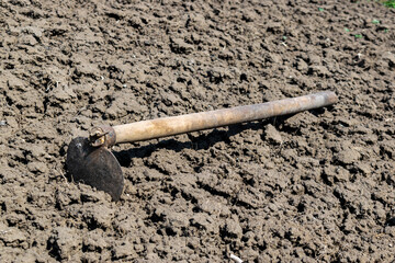 Hoe on the soil